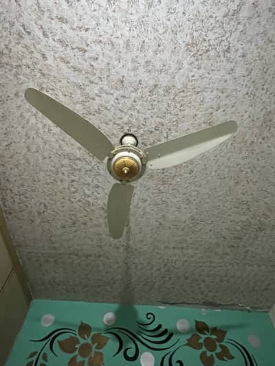 Fans bilcul shi hn 7 fans hnn