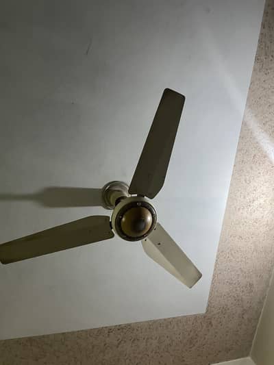 Fans bilcul shi hn 7 fans hnn