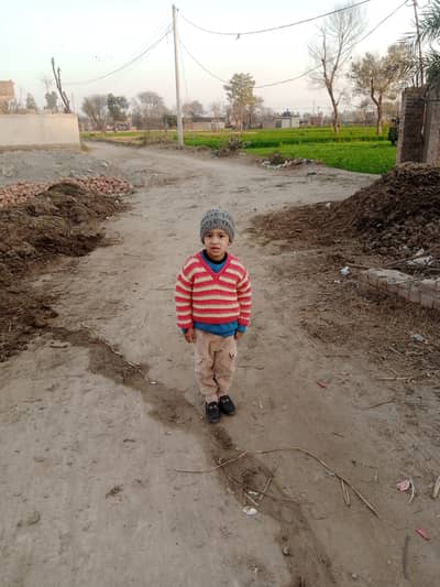 Troly Ara machine for rent