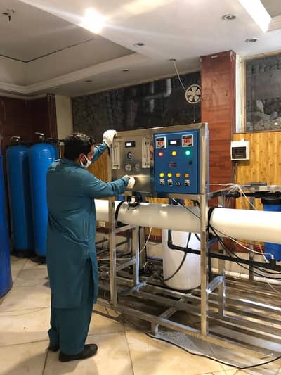 water plant for sale