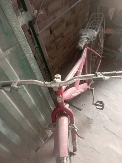 urgent for sale cycle new condition ma h
