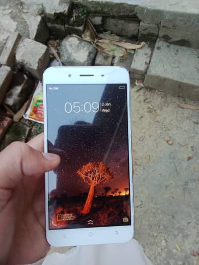 VIVO Y66 PTA APPROVED