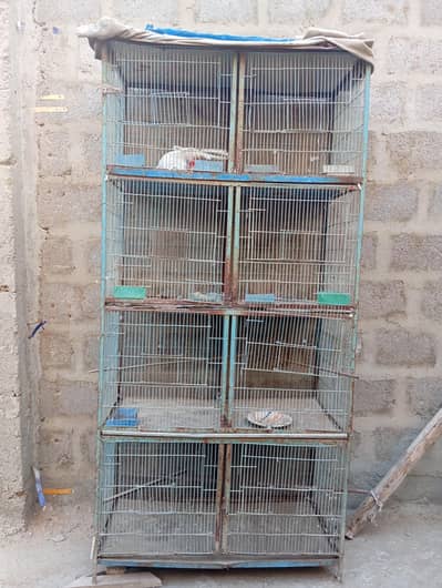 Birds Cages