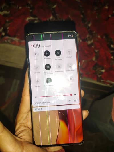 1+9 pro 12/256 pta approved