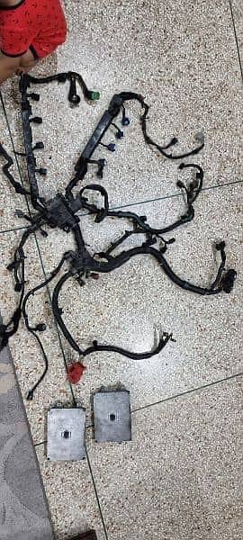 Civic rebirth wiring