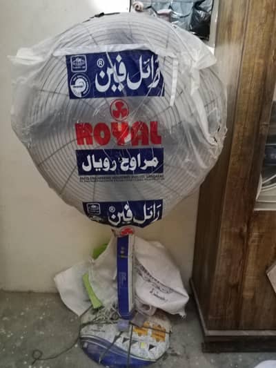 royal predistral fan new