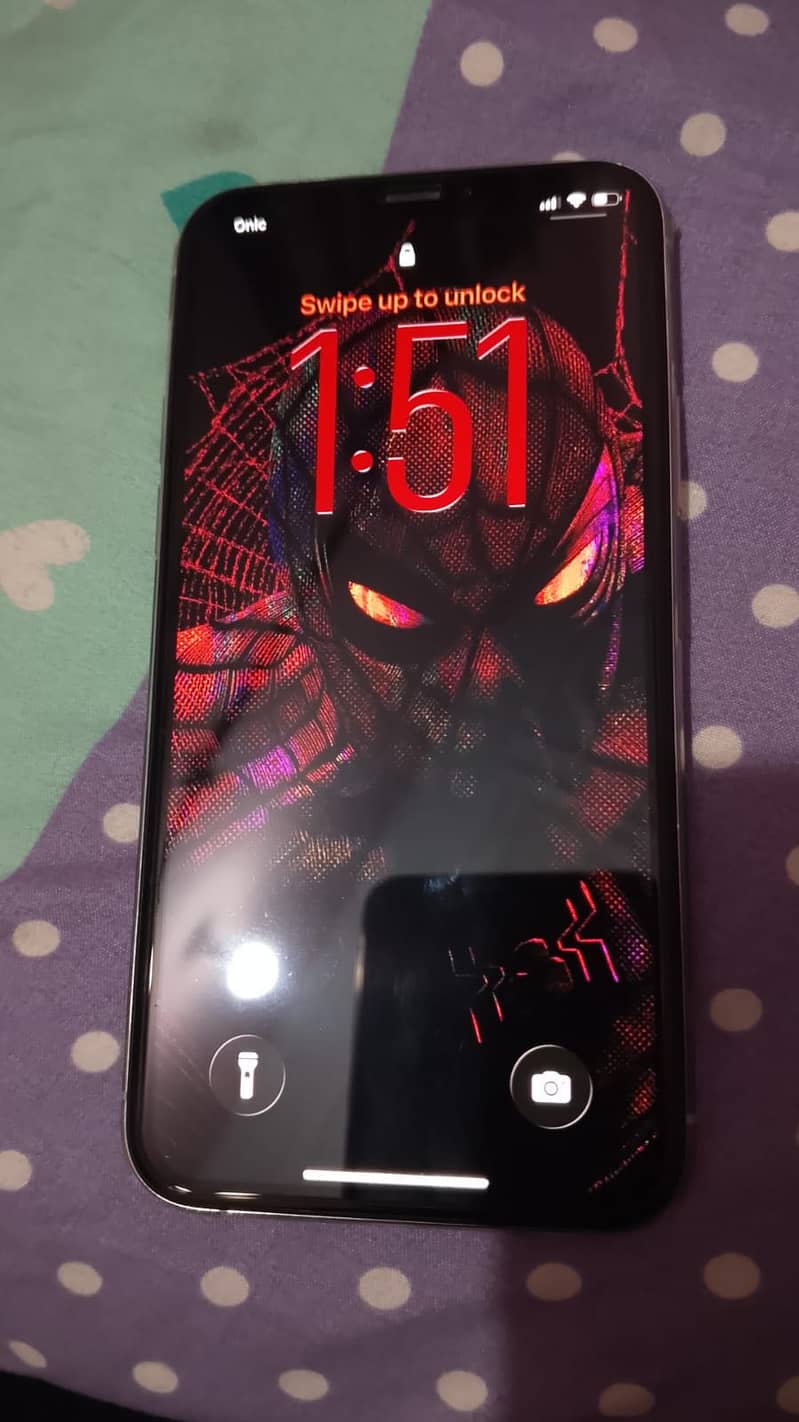 11 pro (sim working) 2