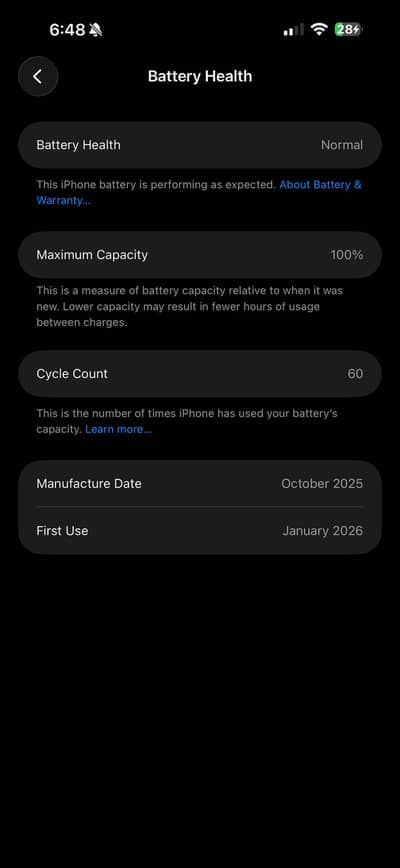17 pro max non pta 256gb silver color