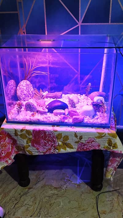 aquarium fish box with water motor