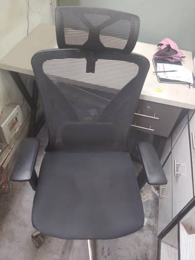 Best Quality Chair for sale