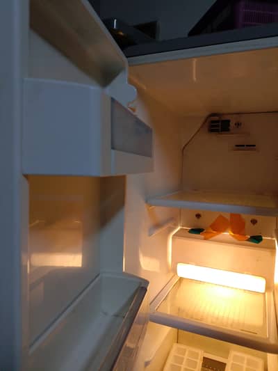 Hair Fridge double door