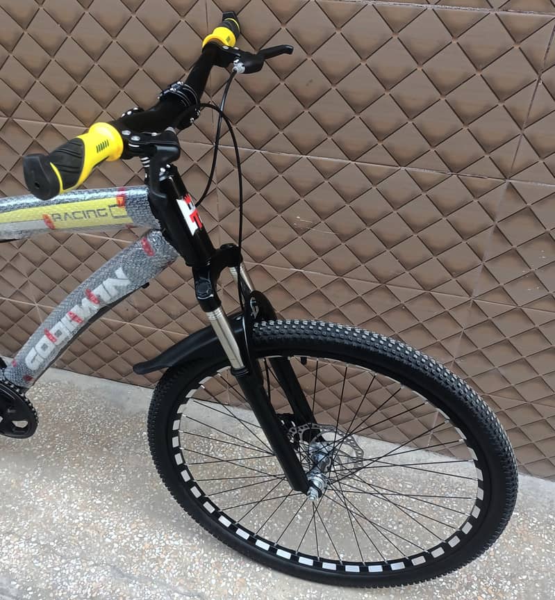 imported cycle Goodwin 4