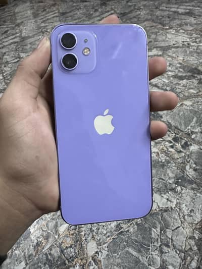 I phone 12 PTA approved