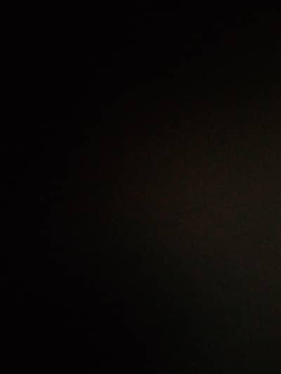 Heera Aseel - Paper White Chicks