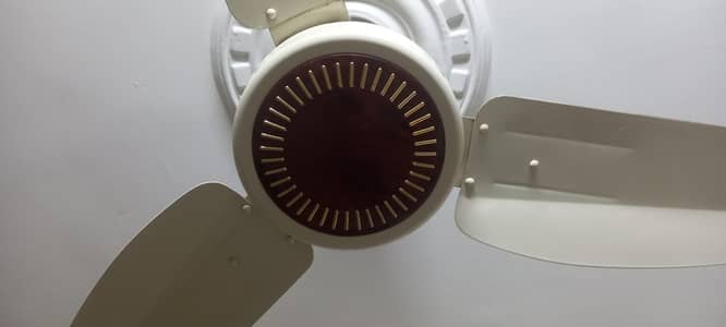 2 GFC ceiling fan for sale