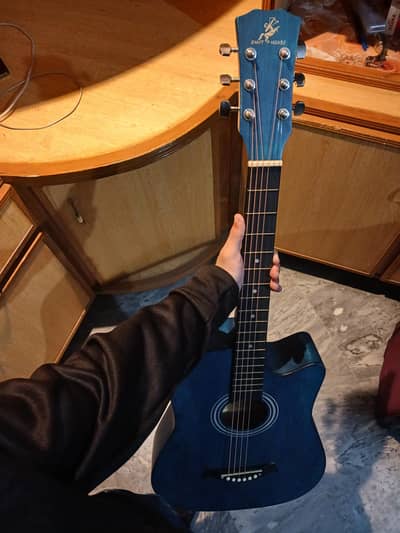 Guitar For Sale