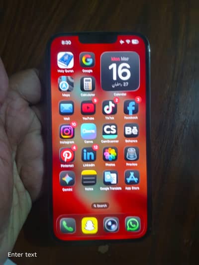 iPhone 13 pro