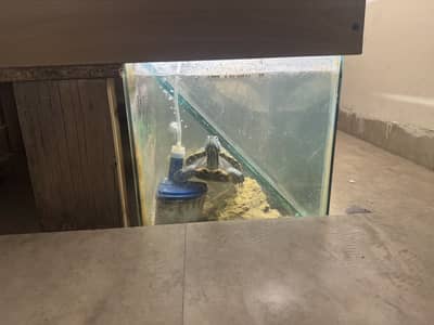 Beautiful Custom Turtle Aquarium / Turtle Habitat with LED Lighting