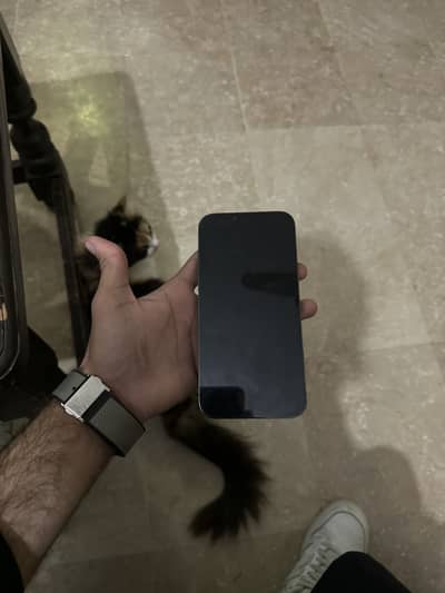 IPHONE 13 pro max 256 (jv) front back 10/10 side 9.5/10 All ok