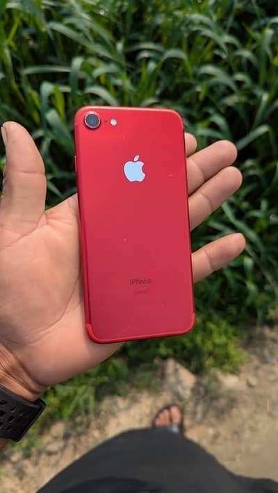 Apple iPhone 7 Product Red Edition