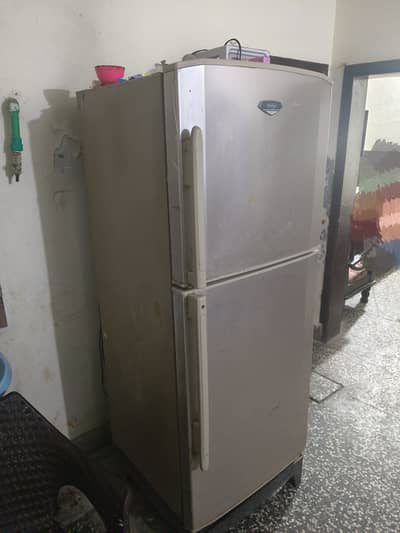 Full size refrigerator hair