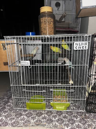 Almost new Cage, Love birds breeder pair and