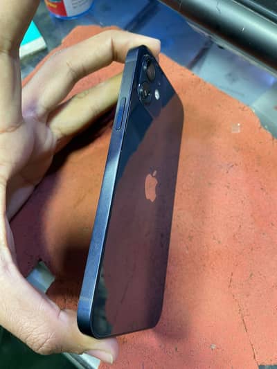 I phone 12 pta approved