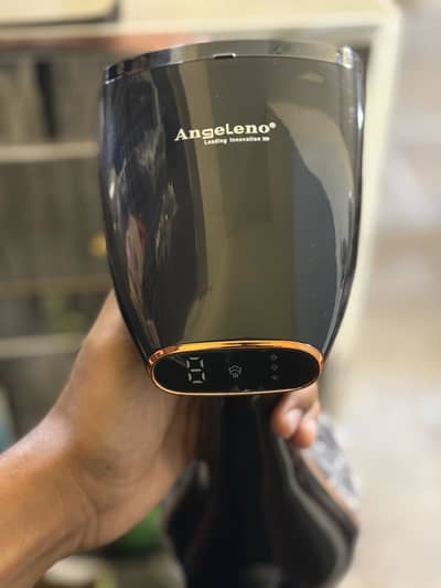 Angeleno hand steamer