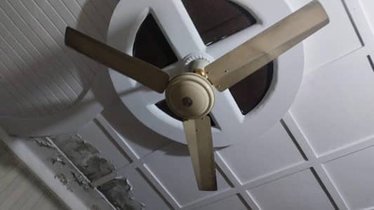 Ceiling Fans 100% working