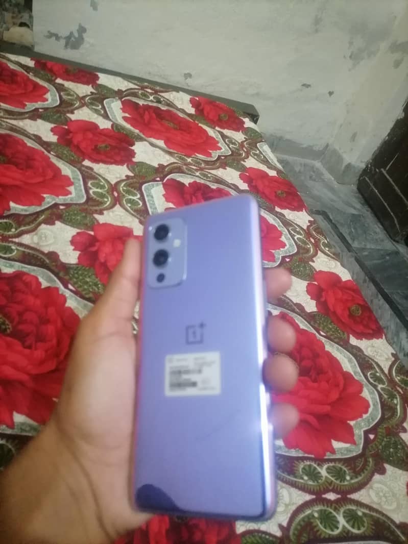 one plus 9 box pack 3