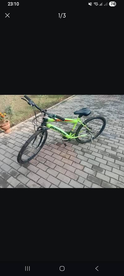 Chinese Bicycle for sale