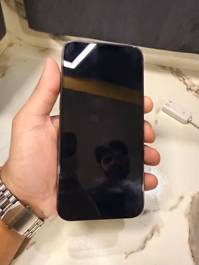 13 pro max Alpine green