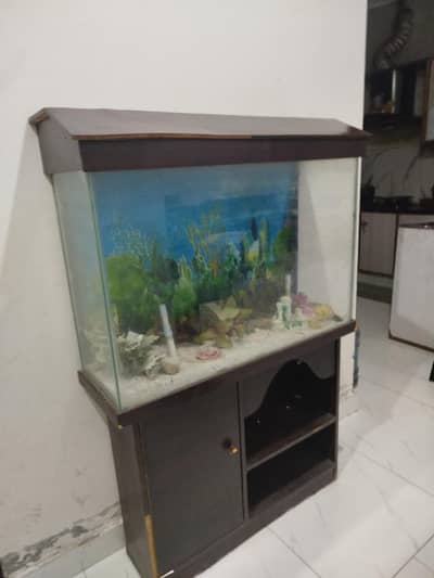 Fish Aquarium in great A1 condition