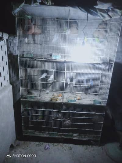 lohay ka MOTi tal ka cage hai