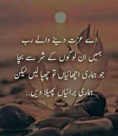 Professional Assignment Writer (M. A, B. Ed Qualified)