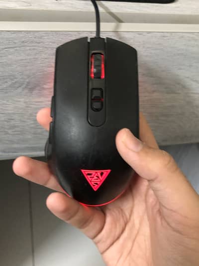 Rgb accessories bundle