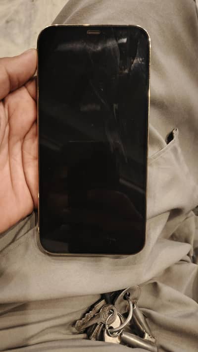 i phone 12 pro max non pta