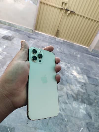 12 pro max dual PTA Approved