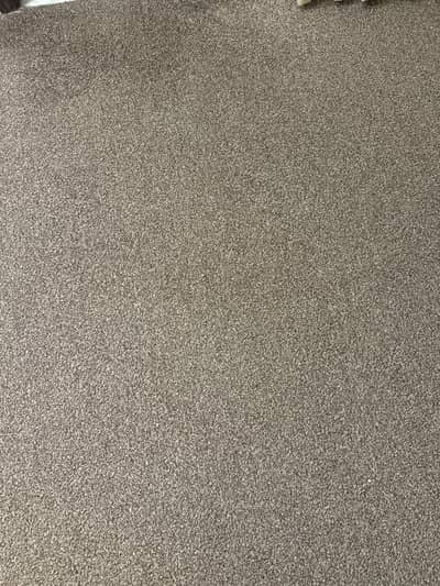10×12 Large Room Carpet – Good Condition
