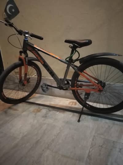 champion company cycle