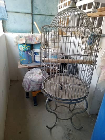 Raw parrot cage