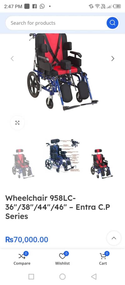 kids and adult wheelchai