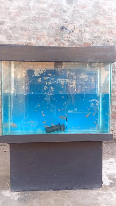fish aquarium in used condition
