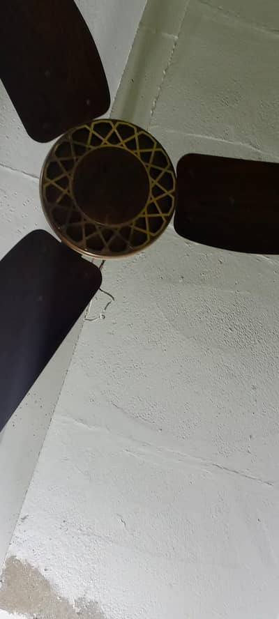 GFC fan bwn nd golden color