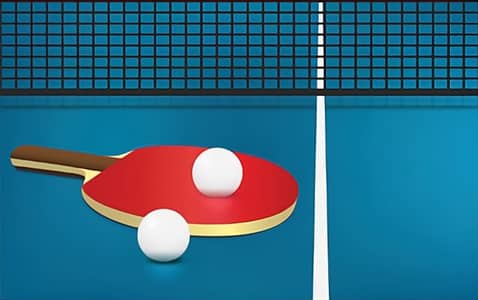 Table Tennis Coaching services.