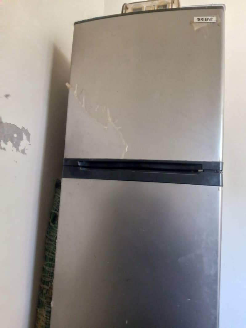 ORIENT MEDIUM SIZE 1