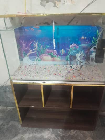 aquarium  with pump and bajri