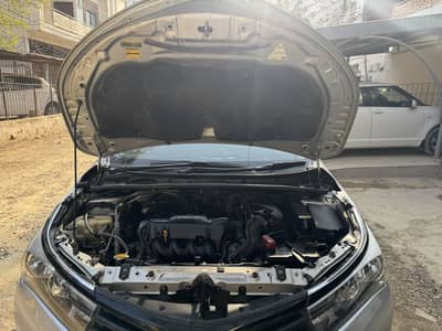 Contact inly on WhatsApp