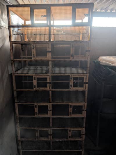 10 portion wooden cage with spot welding front frame.