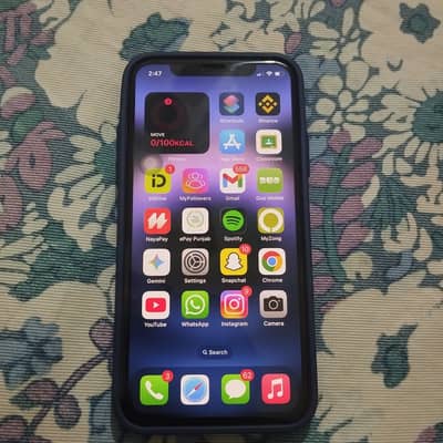 iPhone X PTA approved